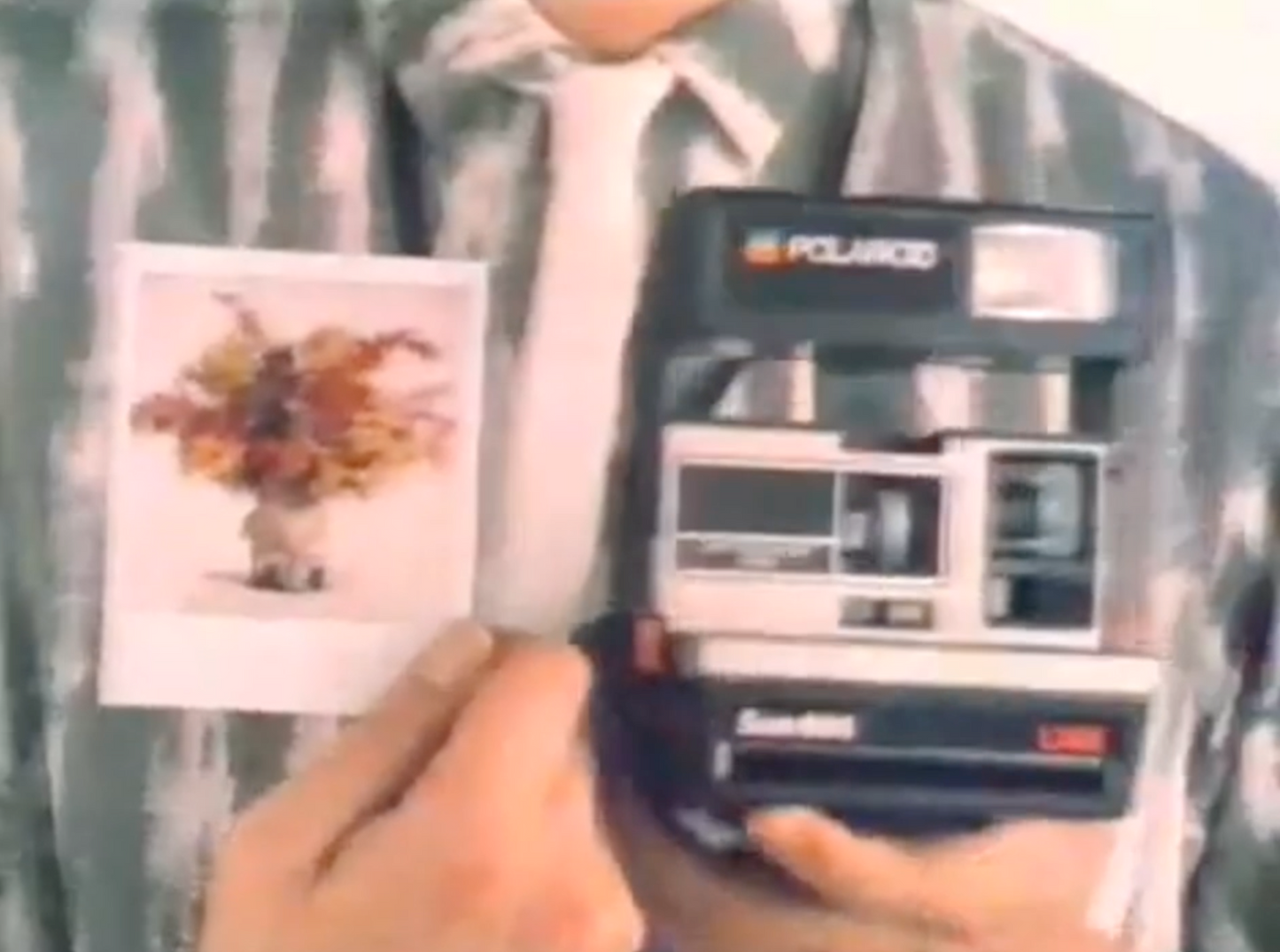 40631 | polaroid Sun600 LMS 1980s 30s