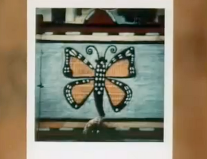40631 | polaroid SX-70 03m45s