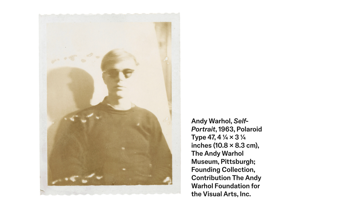 article | andy warhol: from the polaroid and back again