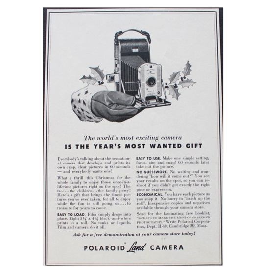 40601 | rollfilm_01 013