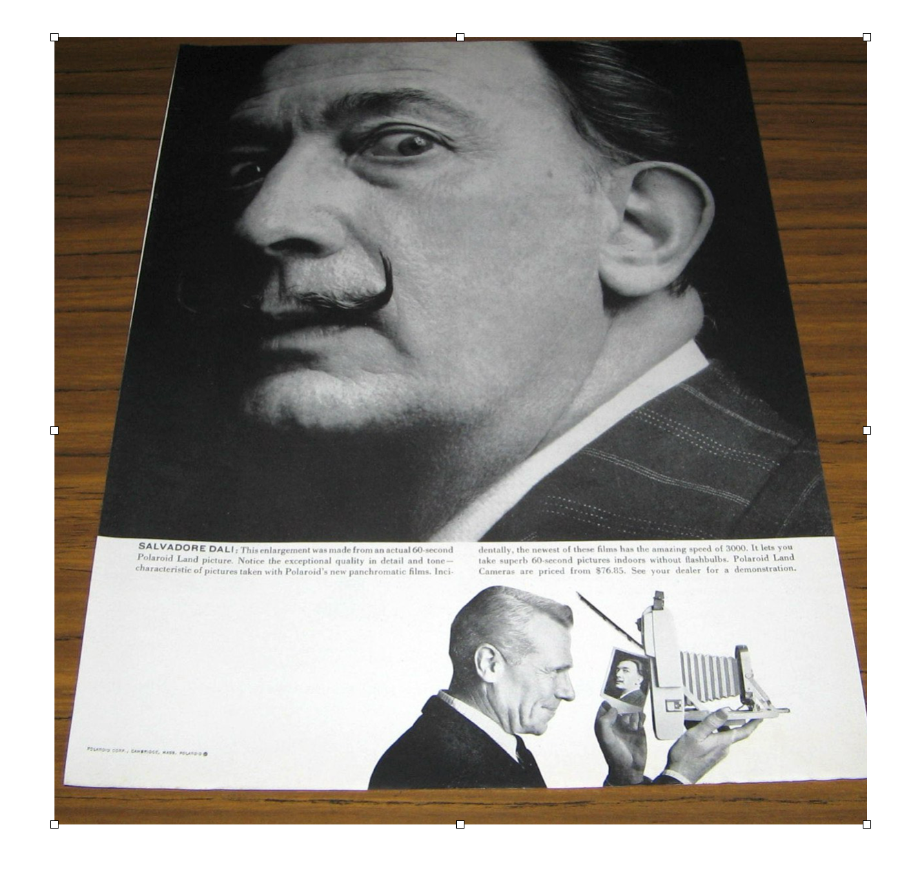 40601 | rollfilm_01 019 dali