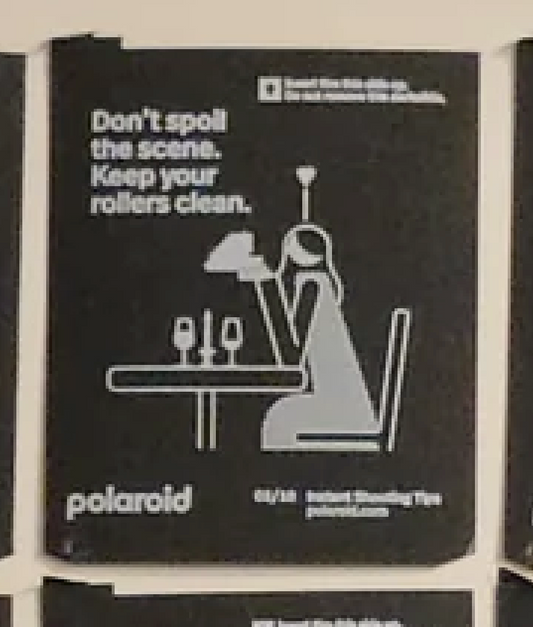 40351 | polaroid new logo instant shooting tips 10-02