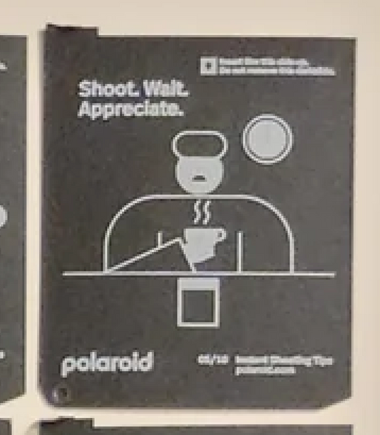 40351 | polaroid new logo instant shooting tips 10-05