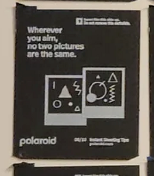 40351 | polaroid new logo instant shooting tips 10-06