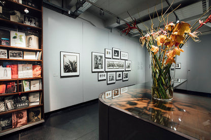 exhibition | 2017 The Polaroid Project - WestLicht Museum for Photography - Vienna