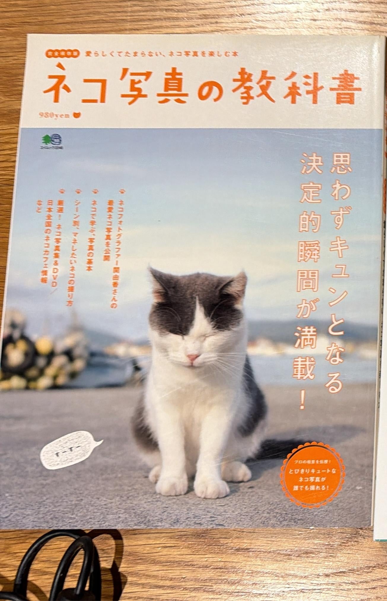 40031 | cat photography textbook 貓寫真教科書