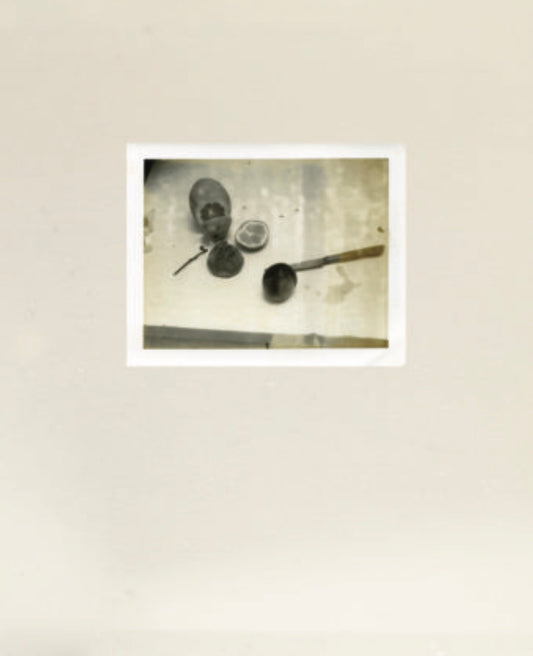 40010 | Laura Letinsky: TIME’S ASSIGNATION, THE POLAROIDS