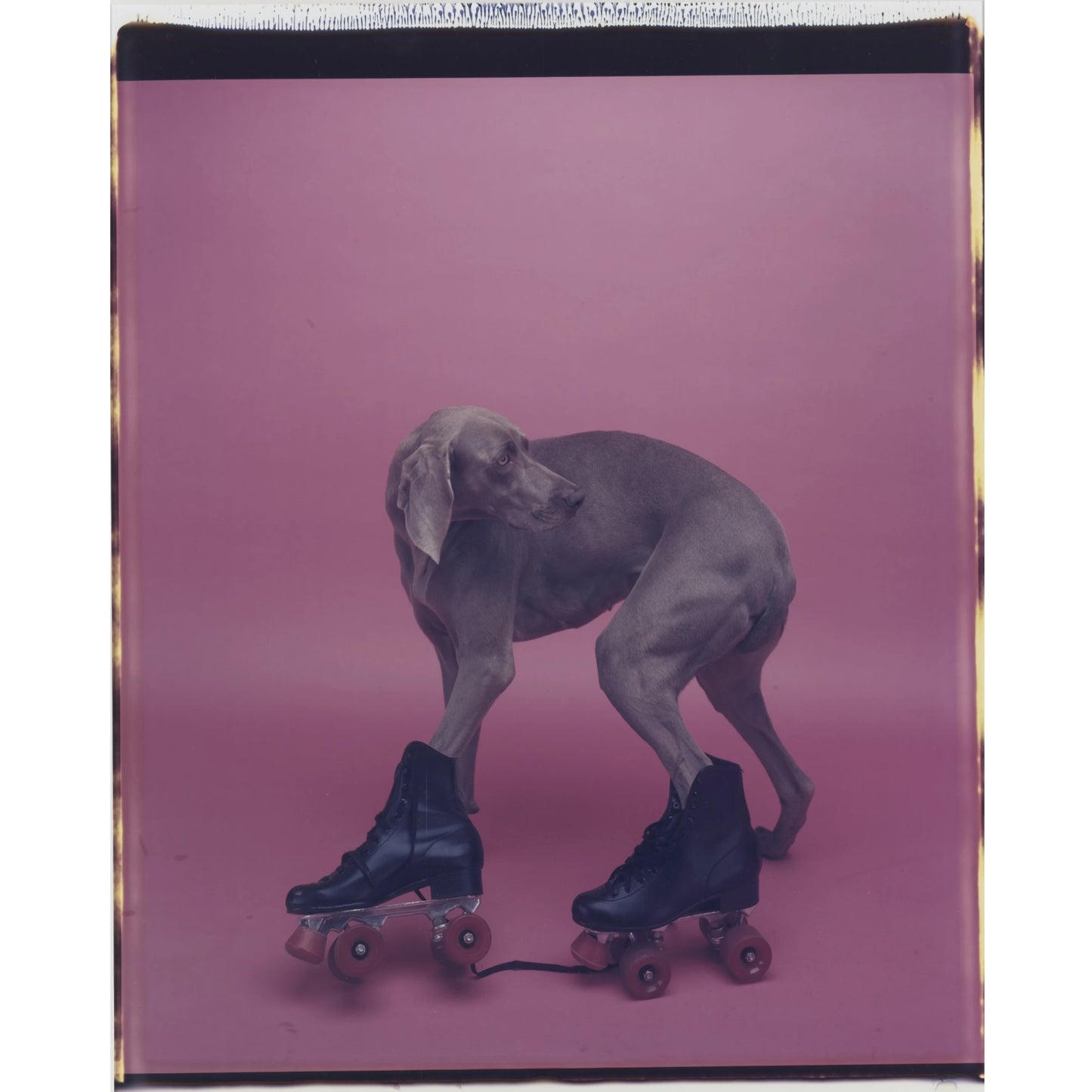 2010-06-21 | Sotheby's Photographs From The Polaroid Collection